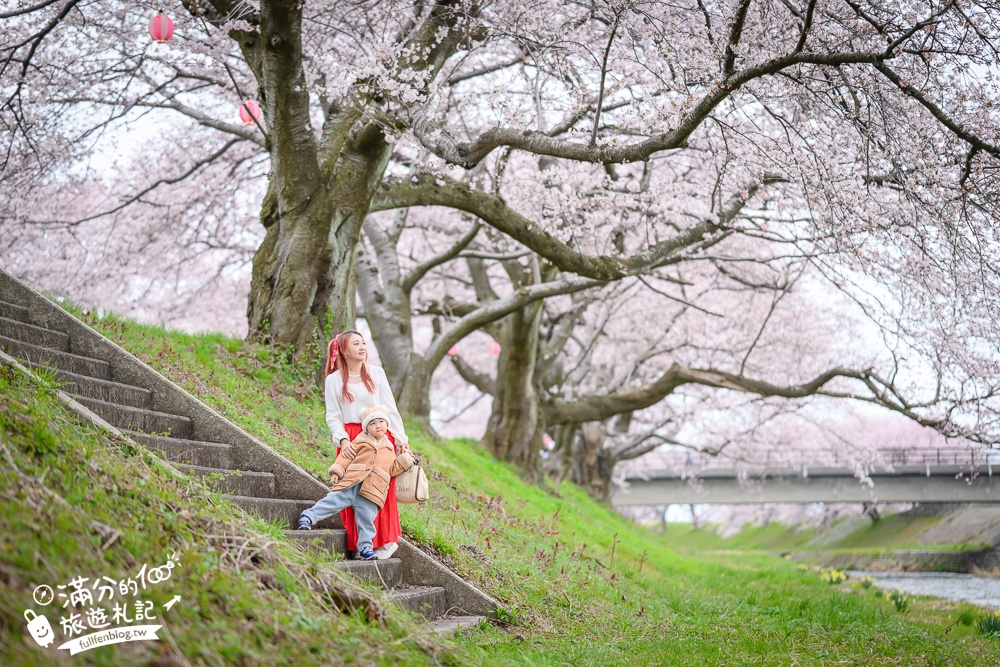 期間限定！朝日町「春の四重奏」交通教學,一次收集四種春色，帶你拍出夢幻美景大片!