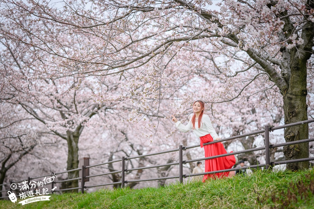期間限定！朝日町「春の四重奏」交通教學,一次收集四種春色，帶你拍出夢幻美景大片!