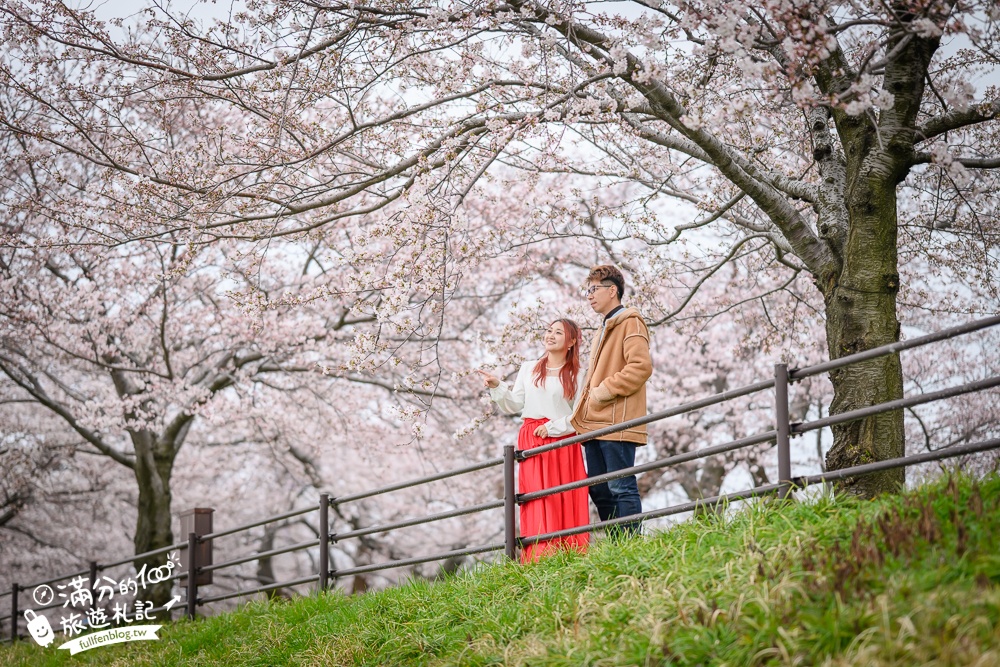 期間限定！朝日町「春の四重奏」交通教學,一次收集四種春色，帶你拍出夢幻美景大片!