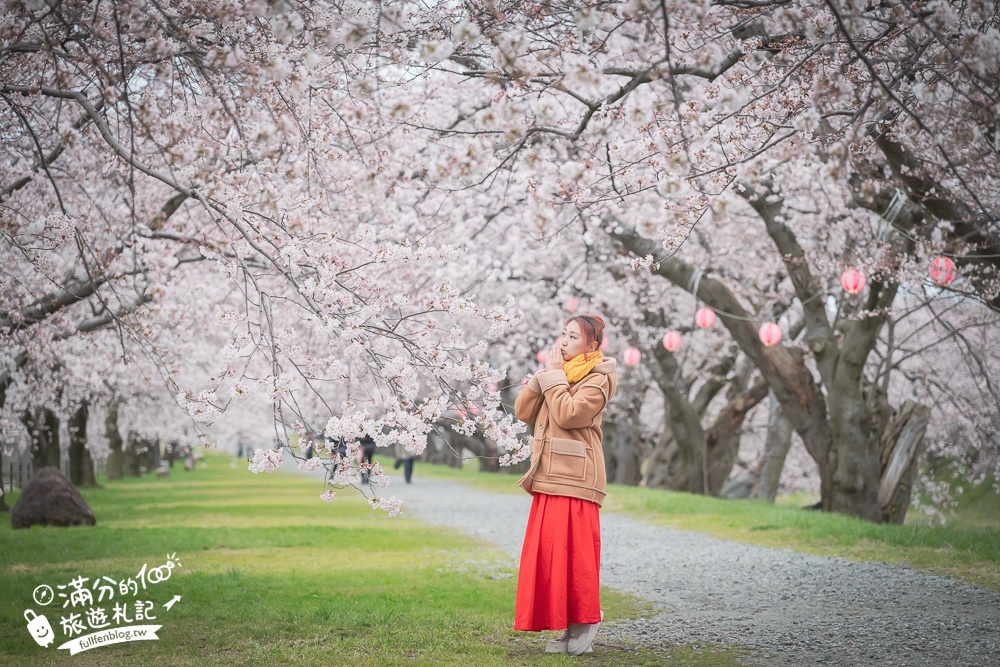 期間限定！朝日町「春の四重奏」交通教學,一次收集四種春色，帶你拍出夢幻美景大片!