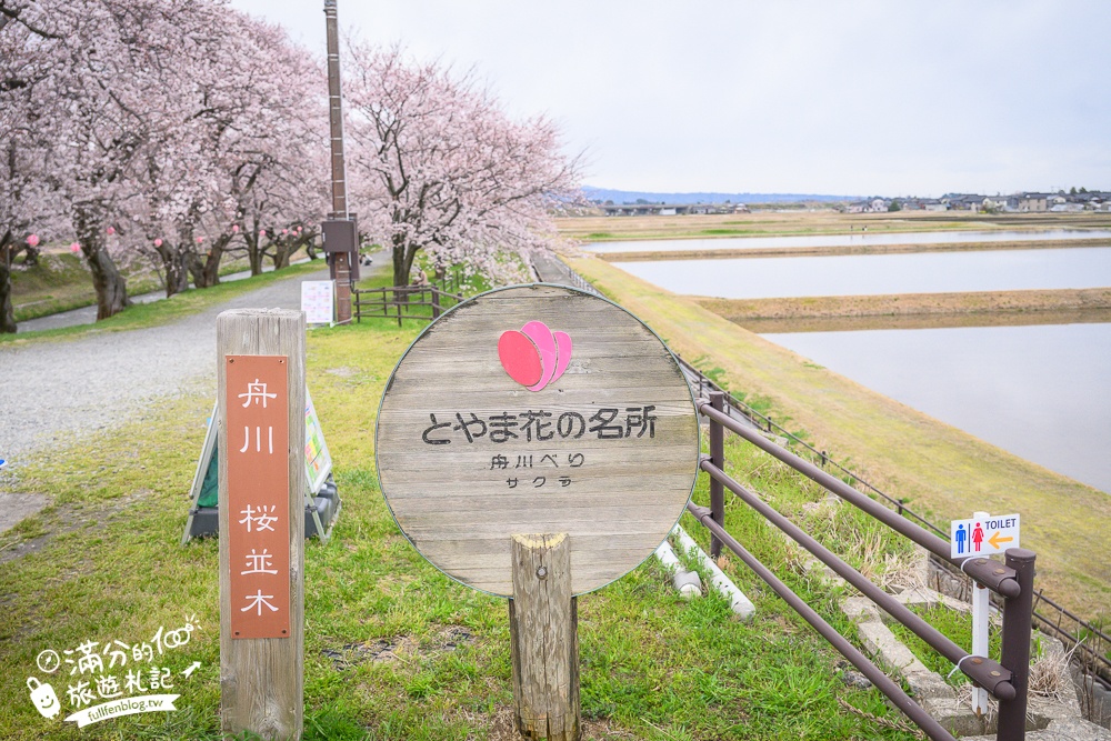 期間限定！朝日町「春の四重奏」交通教學,一次收集四種春色，帶你拍出夢幻美景大片!