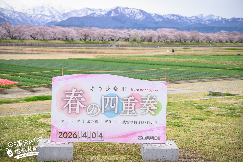 期間限定！朝日町「春の四重奏」交通教學,一次收集四種春色，帶你拍出夢幻美景大片!