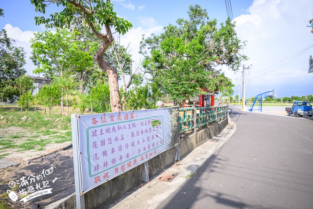 台南【白河山仔腳大山宮阿勃勒盛開中】全台唯一百年老樹與古厝交織的阿勃勒秘境.古意十足太好拍!