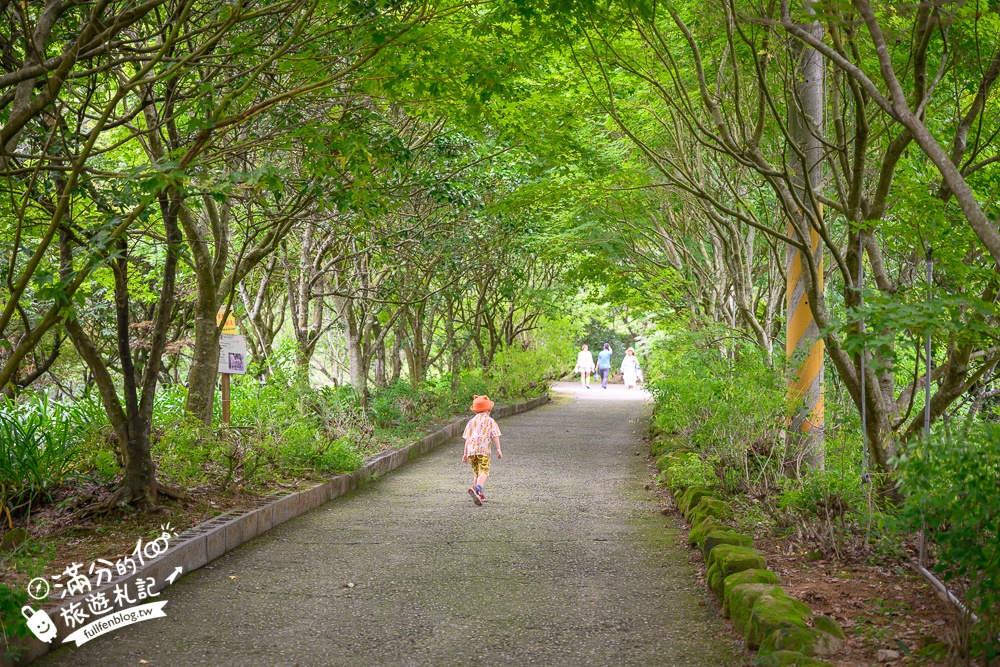 【2026沐心泉休閒農場繡球花季】最新門票資訊＆賞花攻略,新社最美繡球小山谷.繡球花＆金針花雙色齊開超夢幻!