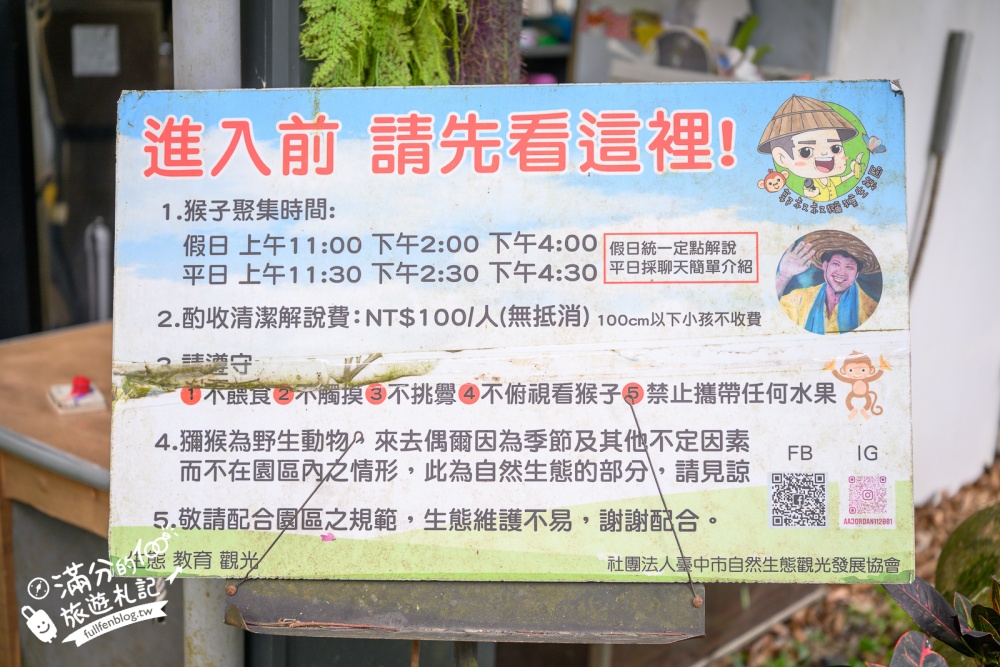 台中【郭叔叔獼猴生態園區】近距離看野生獼猴超特別！全台最溫馴的猴群,還會照鏡子.吊單槓.跳水給你看!