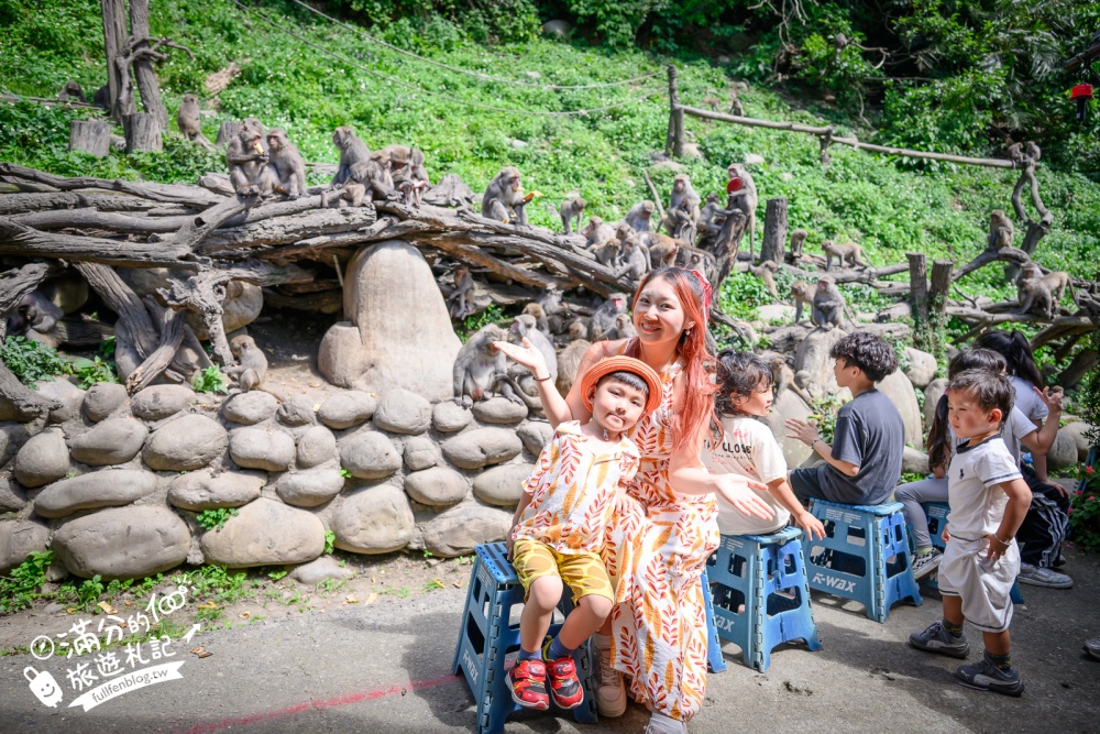 台中【郭叔叔獼猴生態園區】近距離看野生獼猴超特別！全台最溫馴的猴群,還會照鏡子.吊單槓.跳水給你看!