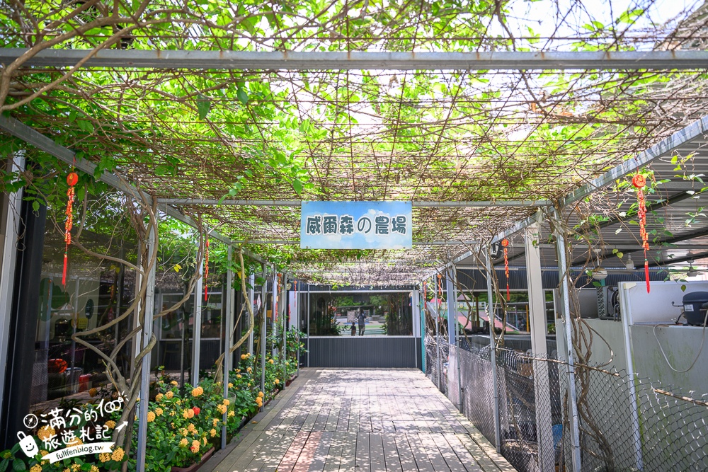 台中【威爾森的農場.親子餐廳】門票只要100元,水豚.狐獴.山羊輕鬆互動,還能玩滑草.射箭和溜滑梯!