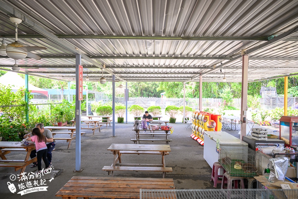 台中【威爾森的農場.親子餐廳】門票只要100元,水豚.狐獴.山羊輕鬆互動,還能玩滑草.射箭和溜滑梯!