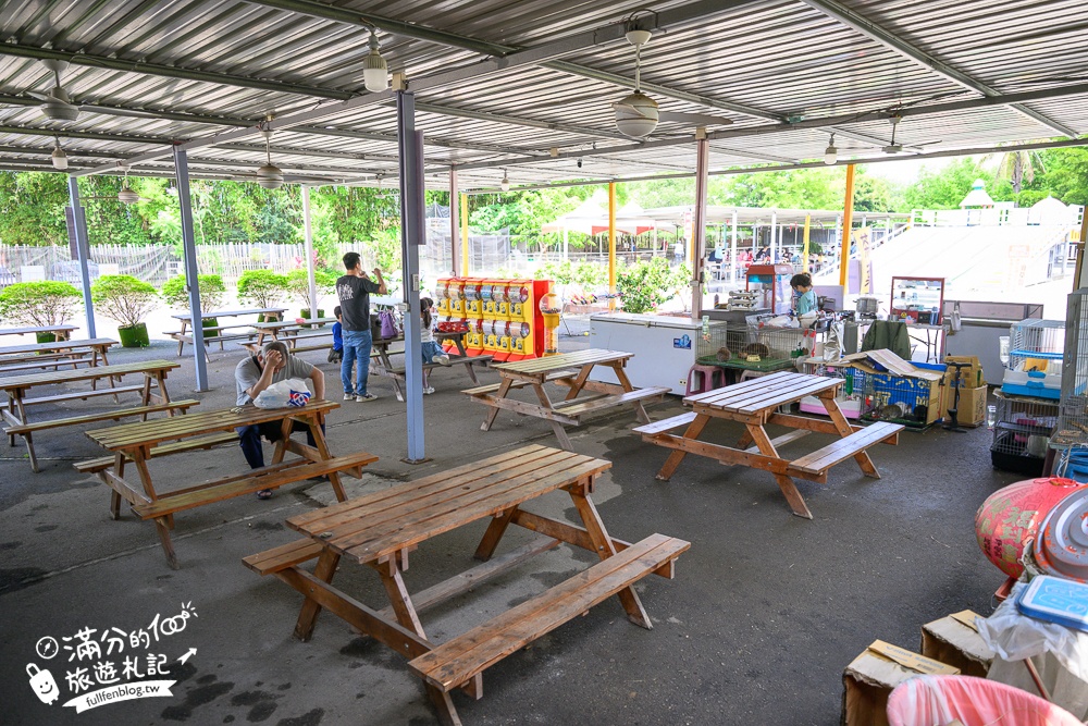 台中【威爾森的農場.親子餐廳】門票只要100元,水豚.狐獴.山羊輕鬆互動,還能玩滑草.射箭和溜滑梯!