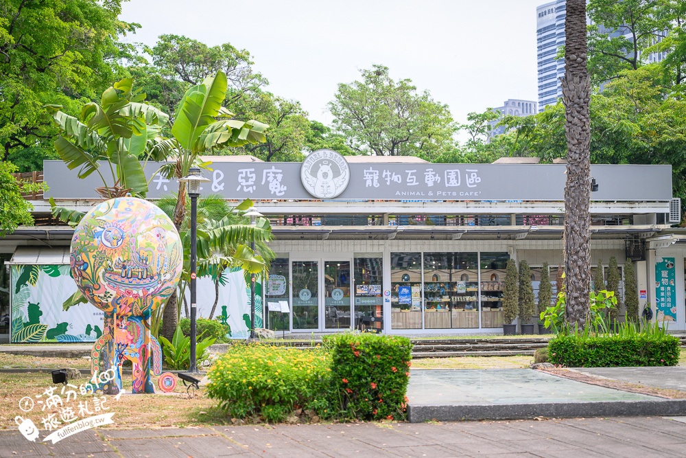 高雄【天使&惡魔寵物互動園區】全新市區裡的萌寵動物園.可以看水豚游泳.還能與鸚鵡.狐獴餵食互動!
