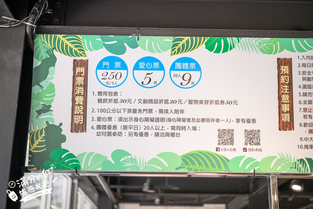 高雄【天使&惡魔寵物互動園區】全新市區裡的萌寵動物園.可以看水豚游泳.還能與鸚鵡.狐獴餵食互動!