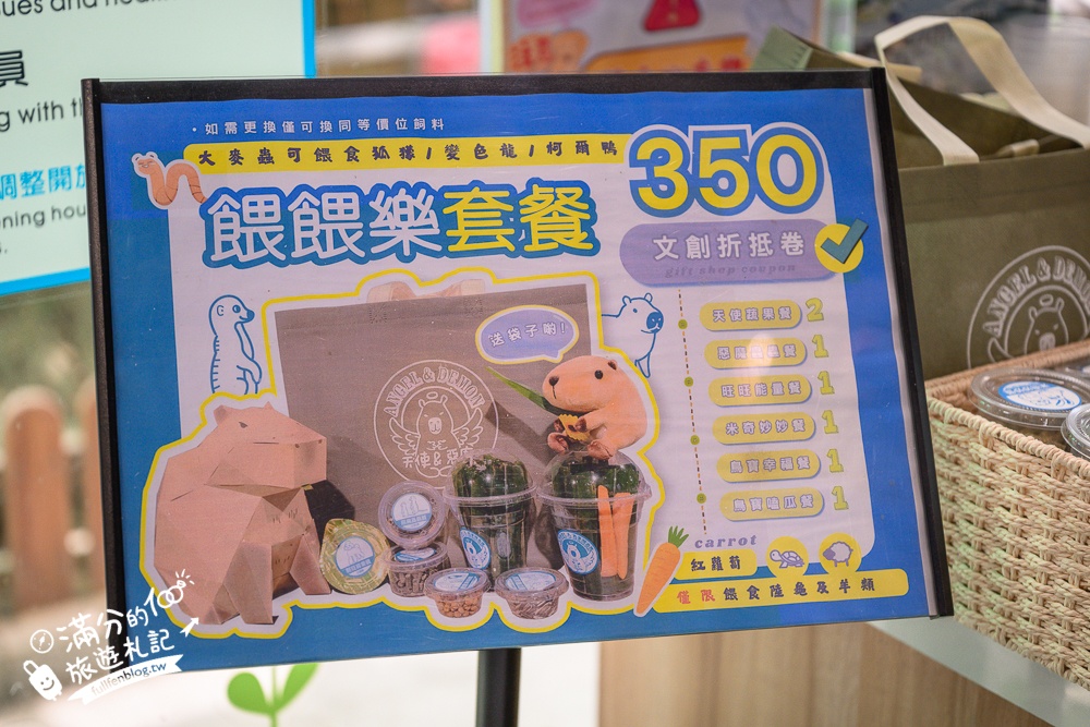 高雄【天使&惡魔寵物互動園區】全新市區裡的萌寵動物園.可以看水豚游泳.還能與鸚鵡.狐獴餵食互動!
