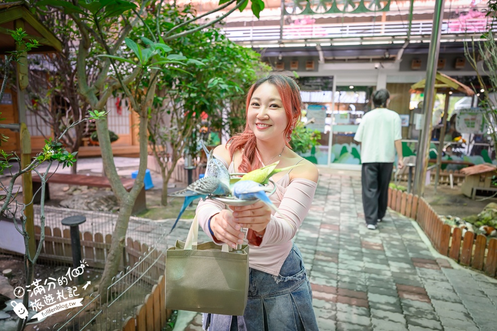 高雄【天使&惡魔寵物互動園區】全新市區裡的萌寵動物園.可以看水豚游泳.還能與鸚鵡.狐獴餵食互動!