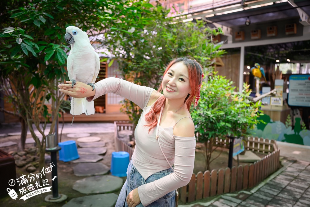 高雄【天使&惡魔寵物互動園區】全新市區裡的萌寵動物園.可以看水豚游泳.還能與鸚鵡.狐獴餵食互動!