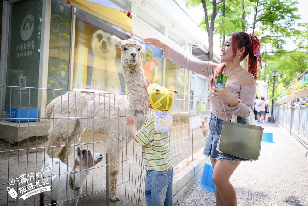高雄【天使&惡魔寵物互動園區】全新市區裡的萌寵動物園.可以看水豚游泳.還能與鸚鵡.狐獴餵食互動!