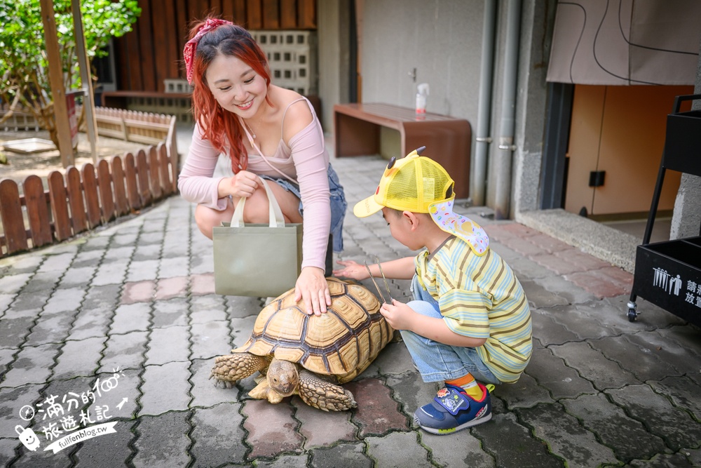 高雄【天使&惡魔寵物互動園區】全新市區裡的萌寵動物園.可以看水豚游泳.還能與鸚鵡.狐獴餵食互動!