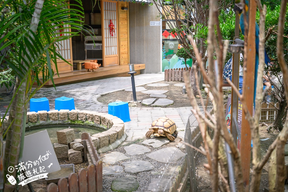 高雄【天使&惡魔寵物互動園區】全新市區裡的萌寵動物園.可以看水豚游泳.還能與鸚鵡.狐獴餵食互動!