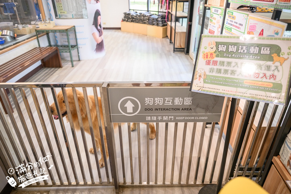 高雄【天使&惡魔寵物互動園區】全新市區裡的萌寵動物園.可以看水豚游泳.還能與鸚鵡.狐獴餵食互動!
