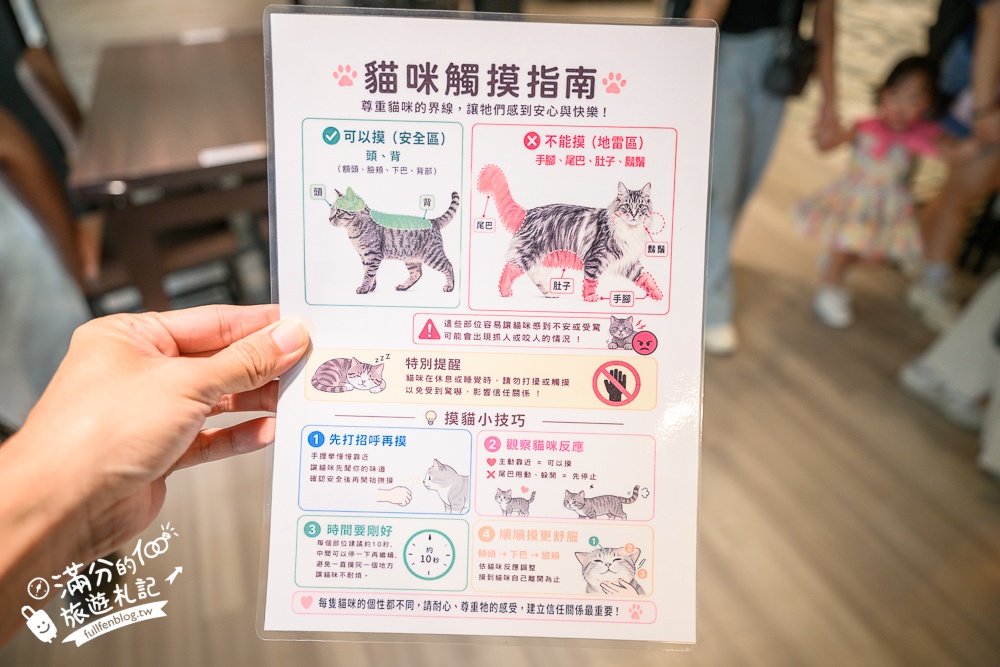 高雄【天使&惡魔寵物互動園區】全新市區裡的萌寵動物園.可以看水豚游泳.還能與鸚鵡.狐獴餵食互動!