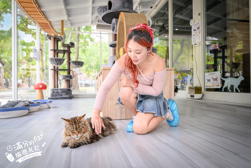 高雄【天使&惡魔寵物互動園區】全新市區裡的萌寵動物園.可以看水豚游泳.還能與鸚鵡.狐獴餵食互動!