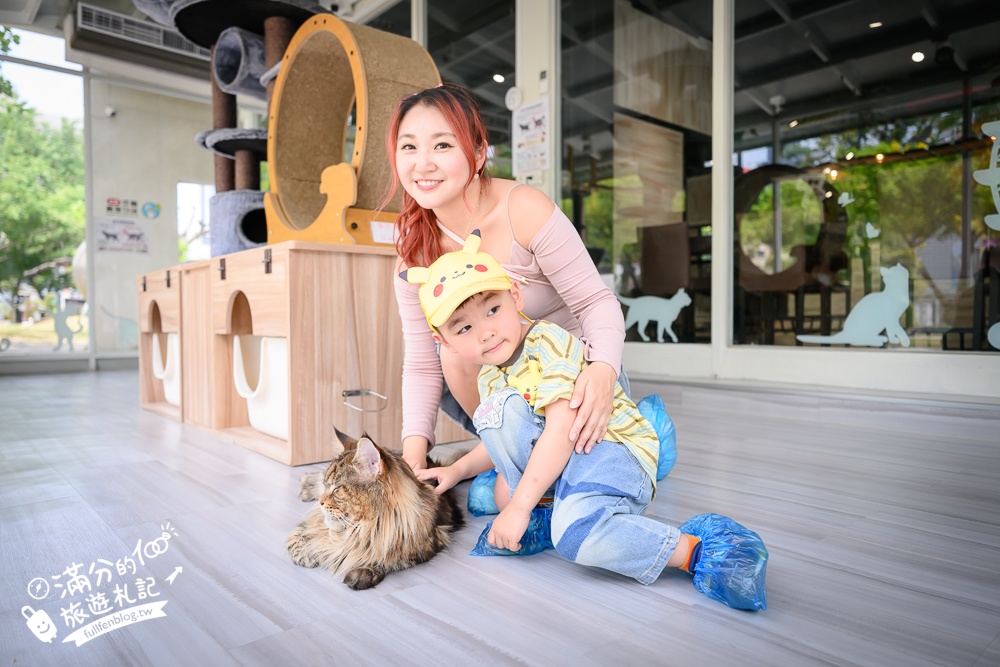 高雄【天使&惡魔寵物互動園區】全新市區裡的萌寵動物園.可以看水豚游泳.還能與鸚鵡.狐獴餵食互動!
