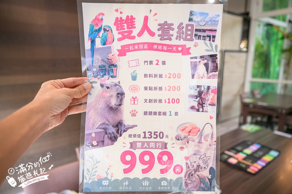 高雄【天使&惡魔寵物互動園區】全新市區裡的萌寵動物園.可以看水豚游泳.還能與鸚鵡.狐獴餵食互動!