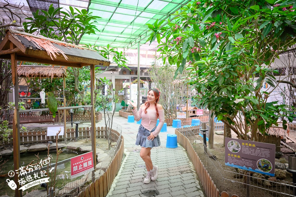 高雄【天使&惡魔寵物互動園區】全新市區裡的萌寵動物園.可以看水豚游泳.還能與鸚鵡.狐獴餵食互動!