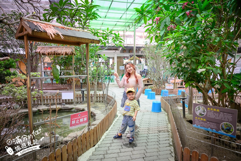 高雄【天使&惡魔寵物互動園區】全新市區裡的萌寵動物園.可以看水豚游泳.還能與鸚鵡.狐獴餵食互動!