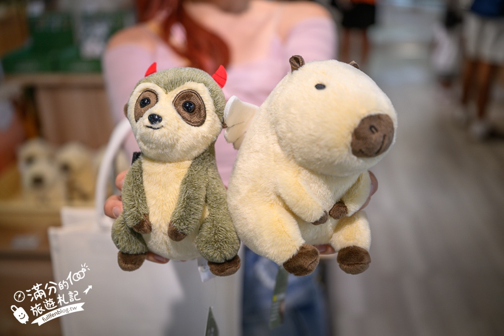 高雄【天使&惡魔寵物互動園區】全新市區裡的萌寵動物園.可以看水豚游泳.還能與鸚鵡.狐獴餵食互動!