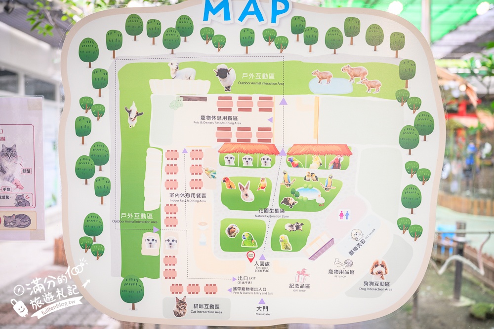高雄【天使&惡魔寵物互動園區】全新市區裡的萌寵動物園.可以看水豚游泳.還能與鸚鵡.狐獴餵食互動!