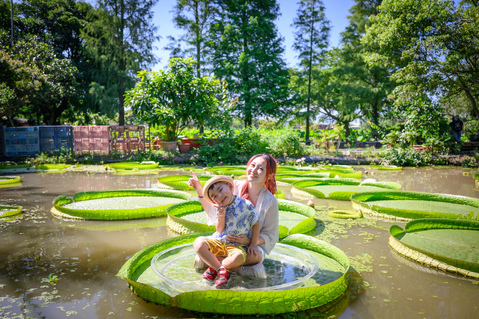 延伸閱讀:桃園觀音景點【水蓮之鄉休閒蓮園】坐大王蓮.釣小龍蝦.吃蓮子湯.療癒王蓮池,體驗蓮花池水上飄好好玩! 延伸閱讀:桃園觀音景點【水蓮之鄉休閒蓮園】坐大王蓮.釣小龍蝦.吃蓮子湯.療癒王蓮池,體驗蓮花池水上飄好好玩!
