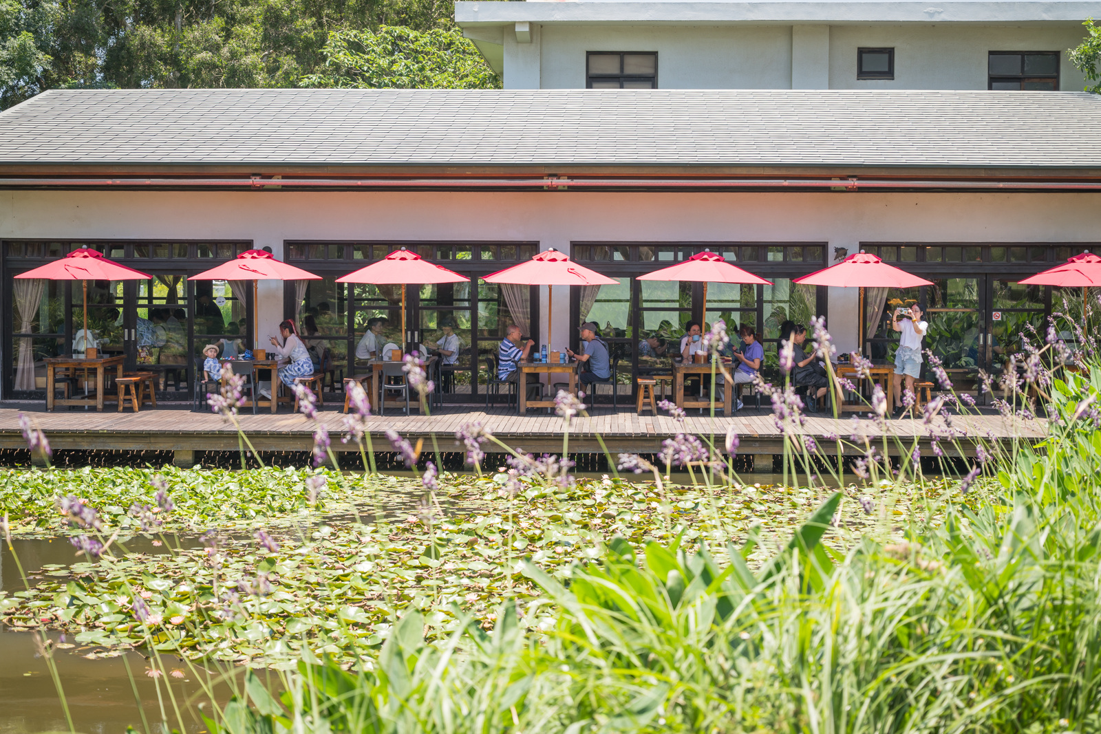 延伸閱讀：桃園【好客食堂】觀音秘境景觀餐廳.蓮花池第一排搖滾區.水上玻璃屋裡品嚐客家料理!