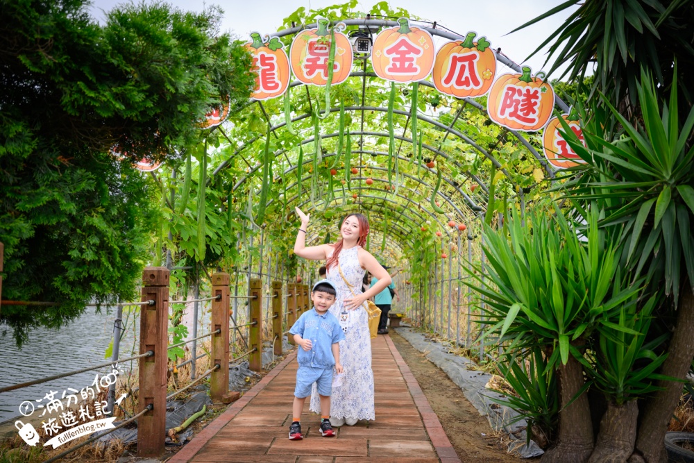 【2026苗栗造橋南瓜節造橋南瓜隧道】千奇百怪的南瓜品種~綠湖上的南瓜藝術廊道!