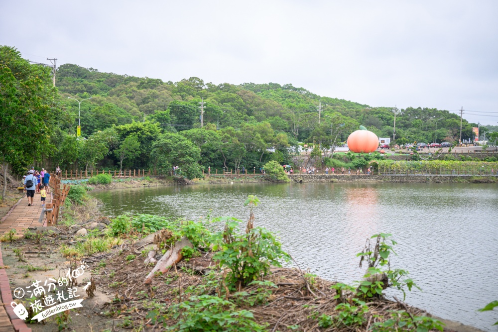 【2026苗栗造橋南瓜節造橋南瓜隧道】千奇百怪的南瓜品種~綠湖上的南瓜藝術廊道!