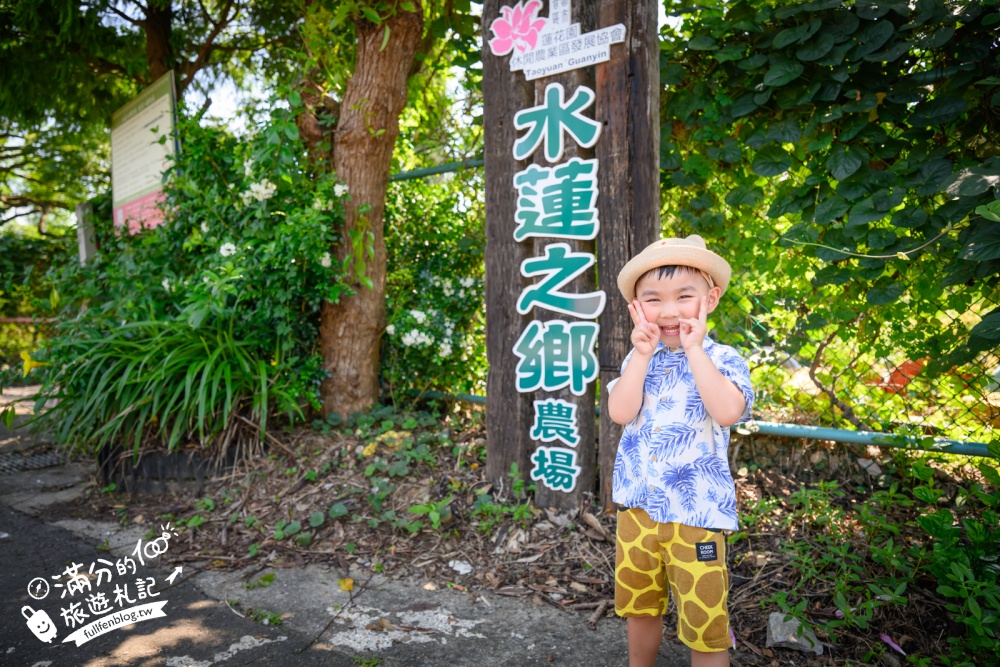 桃園觀音景點【水蓮之鄉休閒蓮園】坐大王蓮.釣小龍蝦.吃蓮子湯.療癒王蓮池,體驗蓮花池水上飄好好玩!