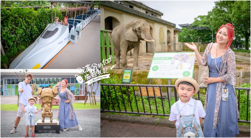 【熊本市動植物園】熊本必玩親子景點.門票&交通攻略.拍海賊王魯夫.看野生動物.玩復古樂園超放電! 【熊本市動植物園】熊本必玩親子景點.門票&交通攻略.拍海賊王魯夫.看野生動物.玩復古樂園超放電!