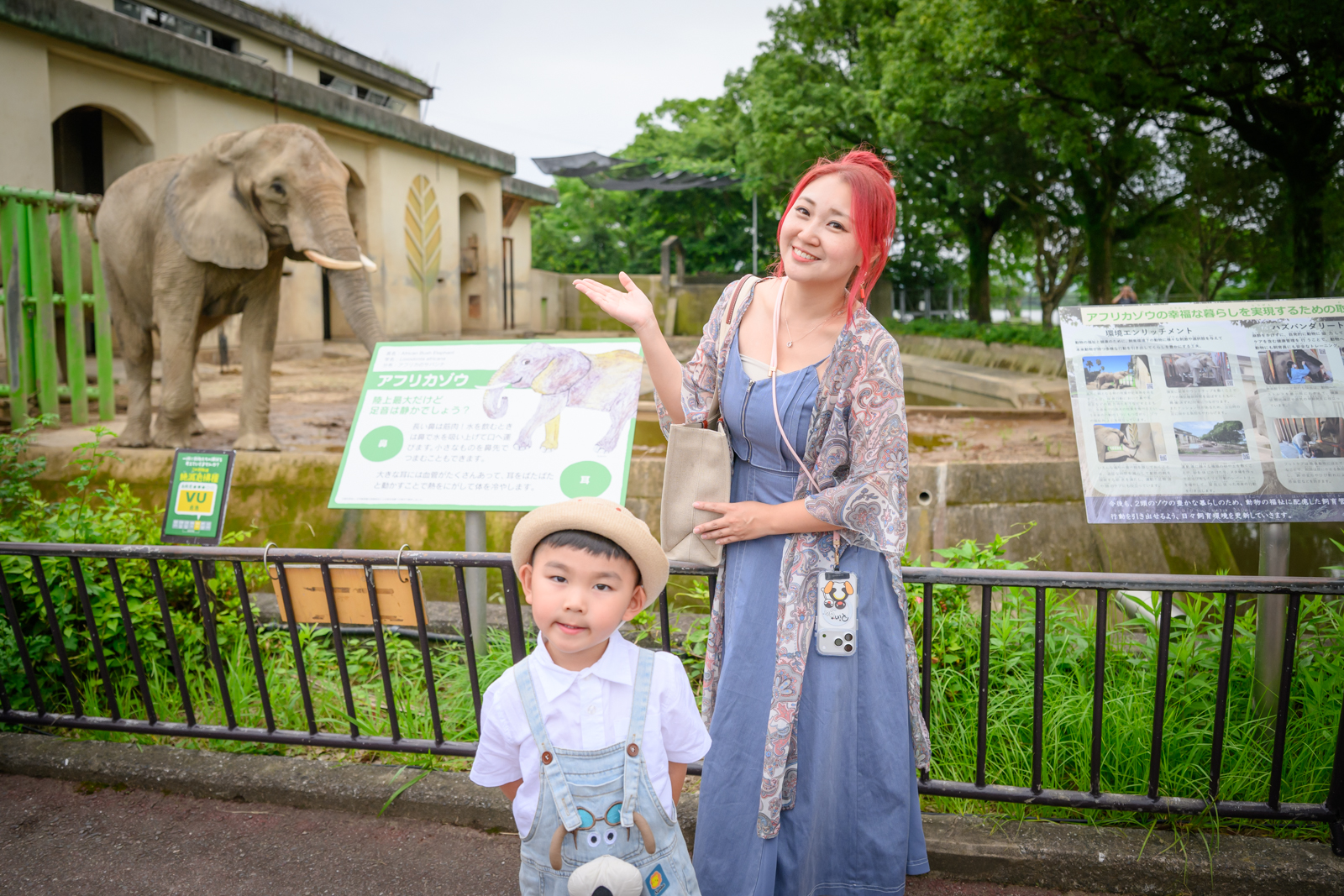 【熊本市動植物園】熊本必玩親子景點.門票&交通攻略.拍海賊王魯夫.看野生動物.玩復古樂園超放電! @滿分的旅遊札記