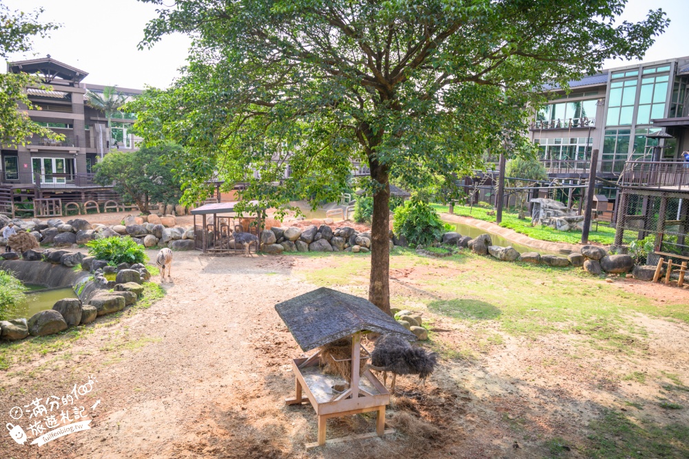 新竹【關西六福莊生態渡假旅館】開窗就是斑馬.鴕鳥和紅鶴!全台唯一能直接住在動物園的飯店! 新竹【關西六福莊生態渡假旅館】開窗就是斑馬.鴕鳥和紅鶴!全台唯一能直接住在動物園的飯店!
