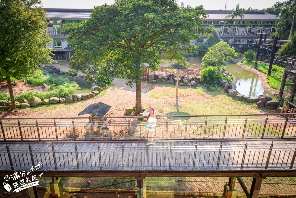 新竹【關西六福莊生態渡假旅館】開窗就是斑馬.鴕鳥和紅鶴!全台唯一能直接住在動物園的飯店! 新竹【關西六福莊生態渡假旅館】開窗就是斑馬.鴕鳥和紅鶴!全台唯一能直接住在動物園的飯店!