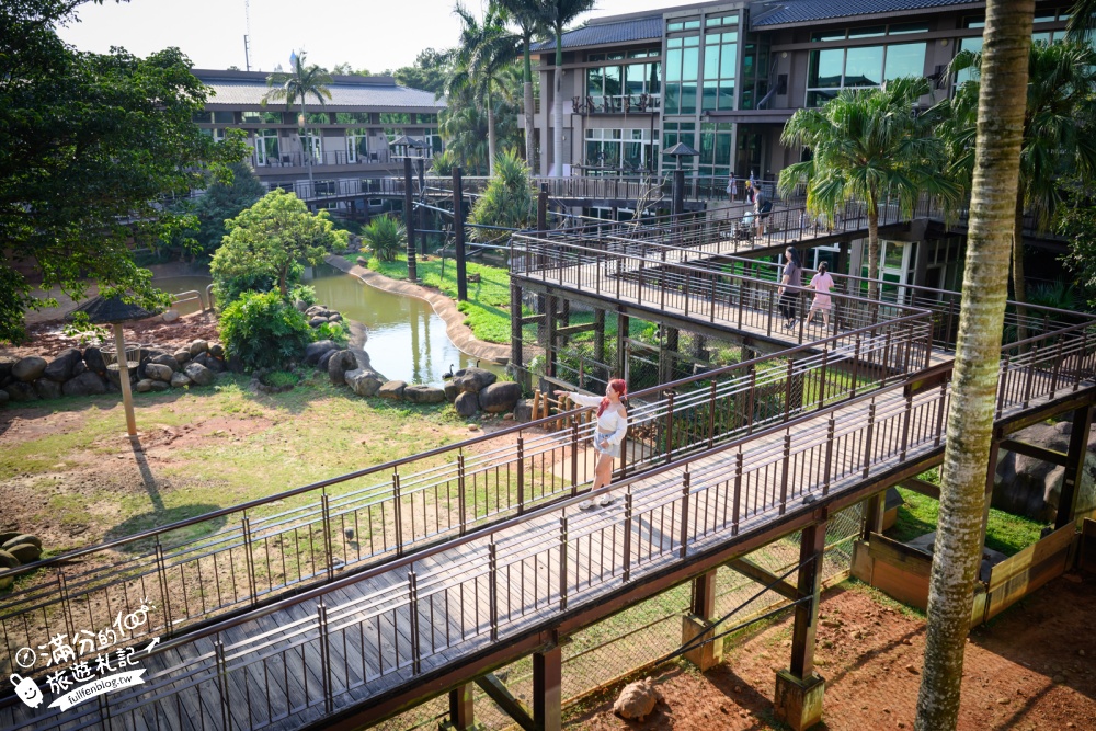 新竹【關西六福莊生態渡假旅館】開窗就是斑馬.鴕鳥和紅鶴!全台唯一能直接住在動物園的飯店! 新竹【關西六福莊生態渡假旅館】開窗就是斑馬.鴕鳥和紅鶴!全台唯一能直接住在動物園的飯店!