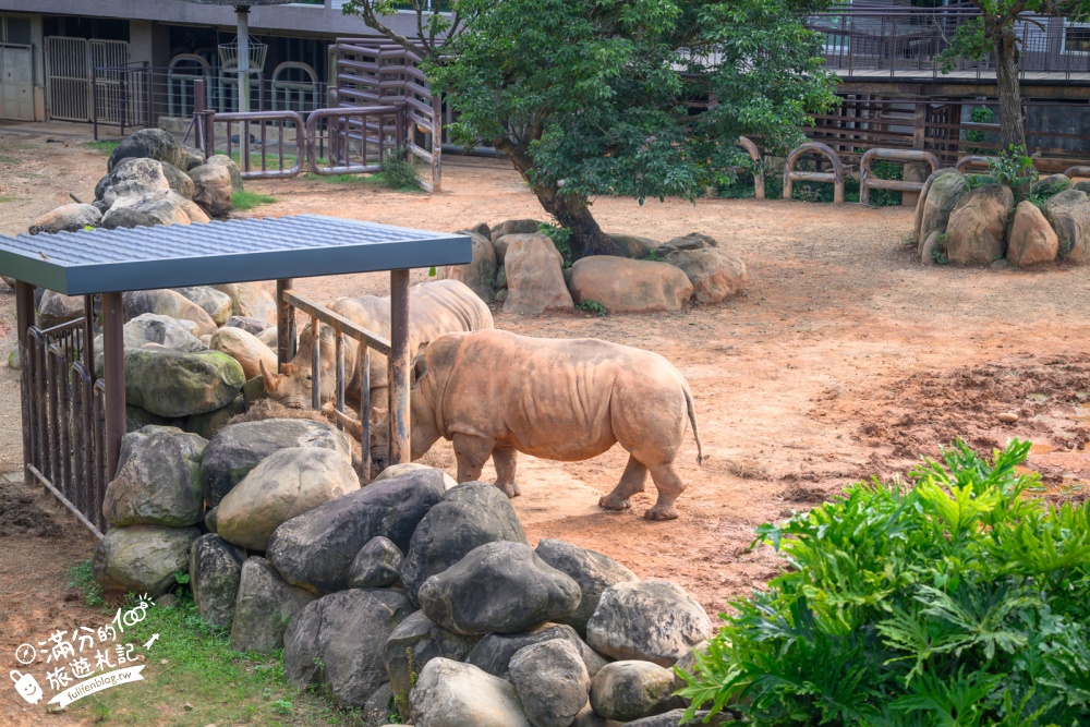 新竹【關西六福莊生態渡假旅館】開窗就是斑馬.鴕鳥和紅鶴!全台唯一能直接住在動物園的飯店! 新竹【關西六福莊生態渡假旅館】開窗就是斑馬.鴕鳥和紅鶴!全台唯一能直接住在動物園的飯店!