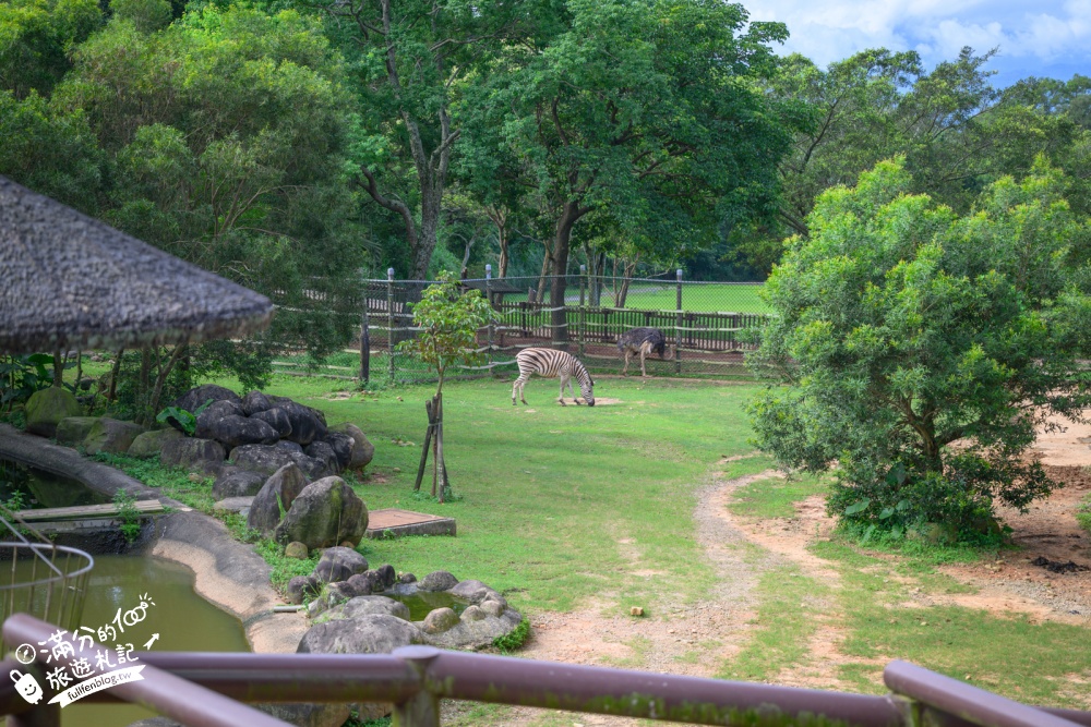 新竹【關西六福莊生態渡假旅館】開窗就是斑馬.鴕鳥和紅鶴!全台唯一能直接住在動物園的飯店! 新竹【關西六福莊生態渡假旅館】開窗就是斑馬.鴕鳥和紅鶴!全台唯一能直接住在動物園的飯店!