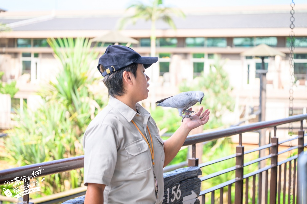 新竹【關西六福莊生態渡假旅館】開窗就是斑馬.鴕鳥和紅鶴!全台唯一能直接住在動物園的飯店! 新竹【關西六福莊生態渡假旅館】開窗就是斑馬.鴕鳥和紅鶴!全台唯一能直接住在動物園的飯店!