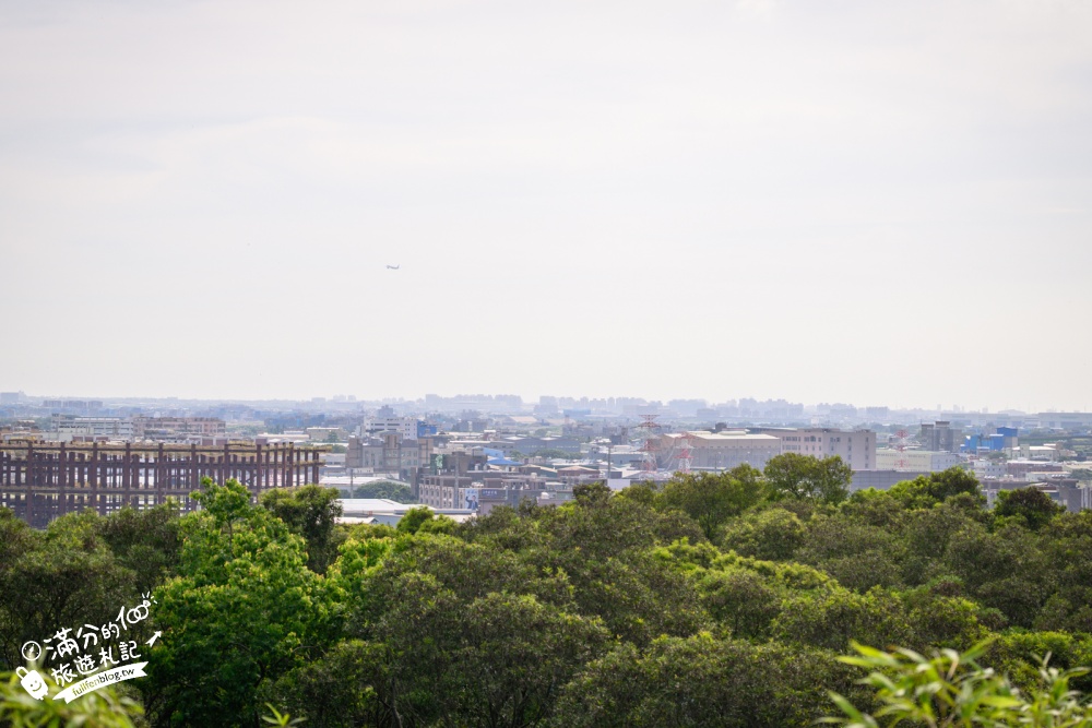 桃園【秘覓良品.山上花兒開了咖啡景觀餐廳】蘆竹百萬夜景秘境.頂上玻璃屋好夢幻.可以輕鬆看飛機和高鐵 桃園【秘覓良品.山上花兒開了咖啡景觀餐廳】蘆竹百萬夜景秘境.頂上玻璃屋好夢幻.可以輕鬆看飛機和高鐵
