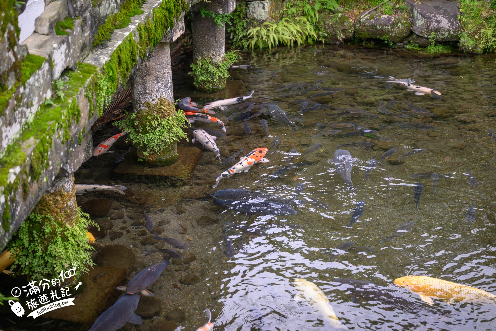 熊本【水前寺成趣園】最新玩樂＆交通攻略.熊本迷你版富士山.參拜出水神社，還能體驗和服逛商店街!