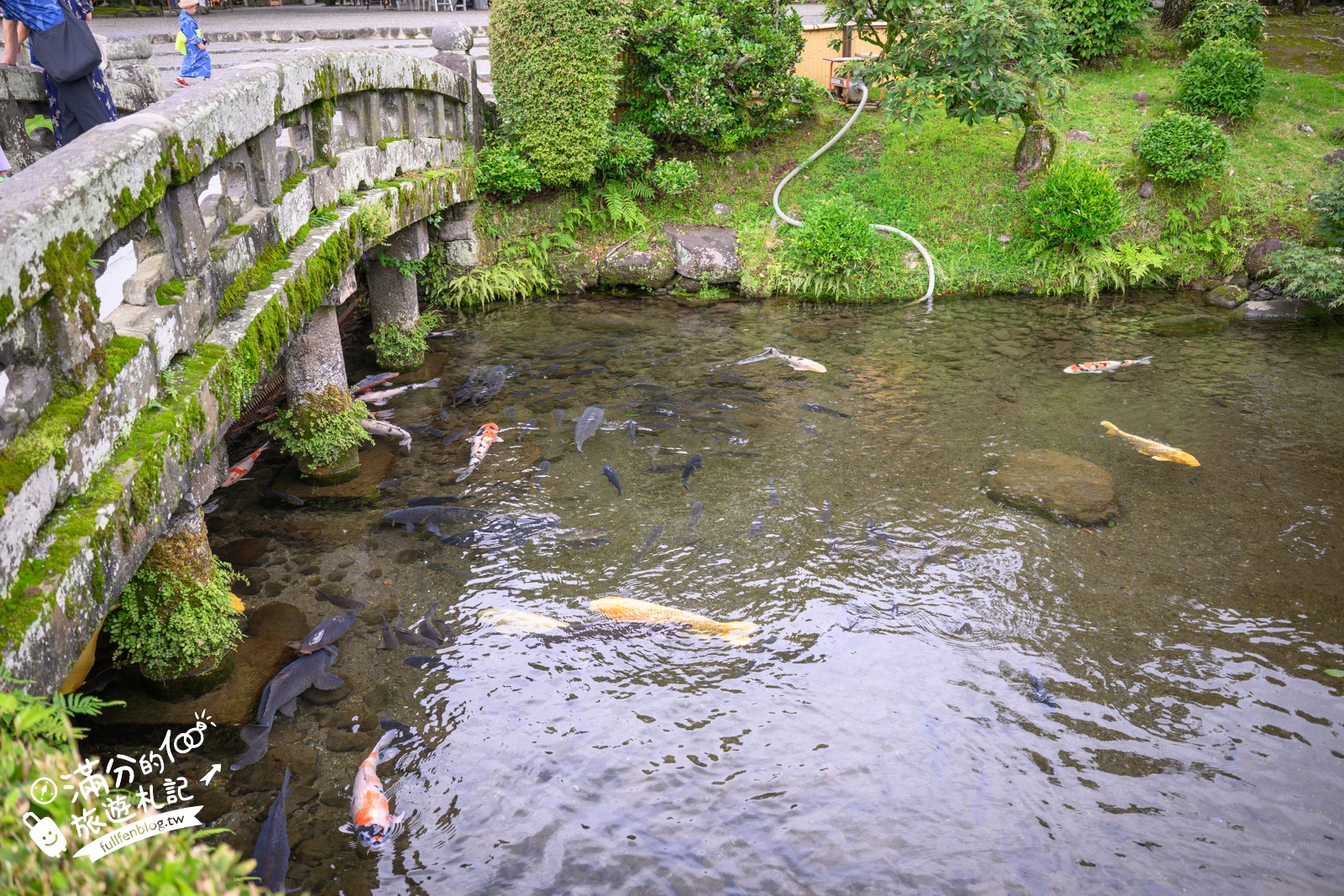 熊本【水前寺成趣園】最新玩樂＆交通攻略.熊本迷你版富士山.參拜出水神社，還能體驗和服逛商店街!