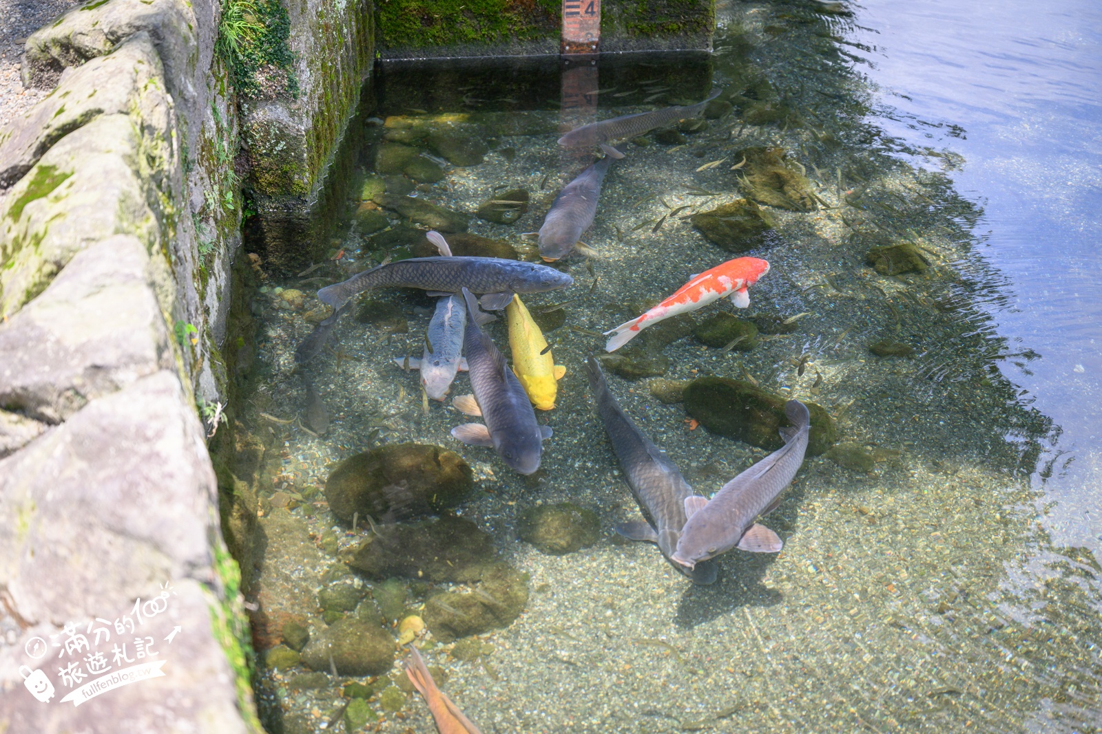 熊本【水前寺成趣園】最新玩樂＆交通攻略.熊本迷你版富士山.參拜出水神社，還能體驗和服逛商店街!