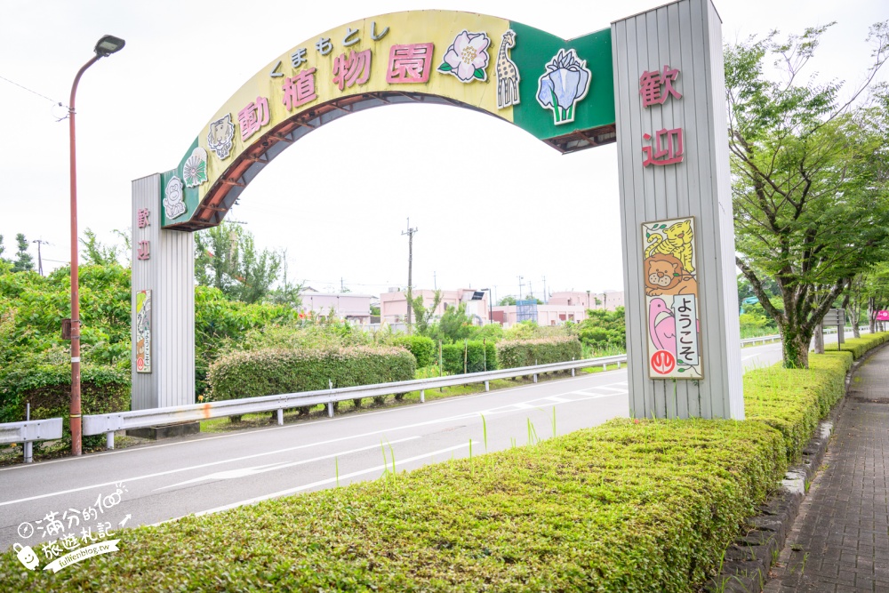 【熊本市動植物園】熊本必玩親子景點.門票&交通攻略.拍海賊王魯夫.看野生動物.玩復古樂園超放電! 【熊本市動植物園】熊本必玩親子景點.門票&交通攻略.拍海賊王魯夫.看野生動物.玩復古樂園超放電!