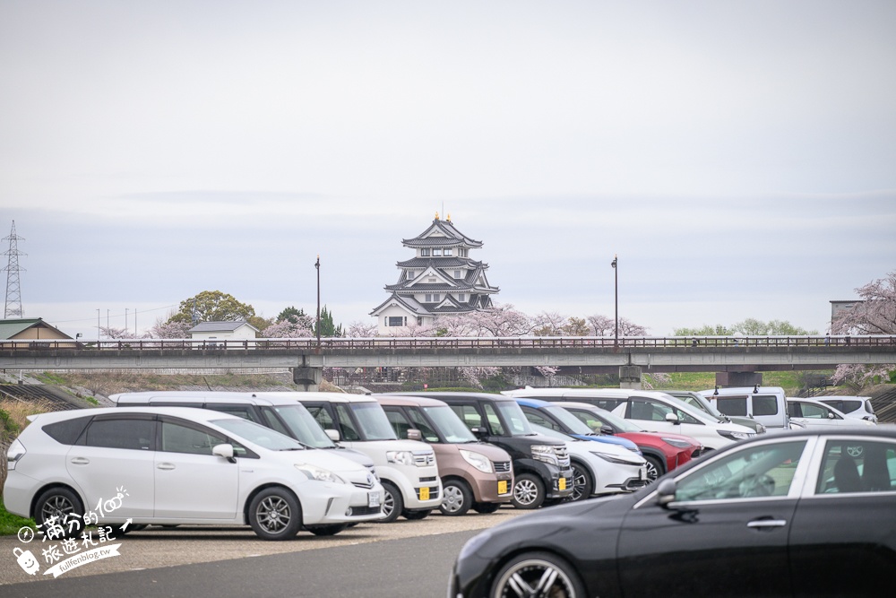 日本岐阜【墨俣一夜城址公園】岐阜免費賞櫻名所.登天守看櫻花隧道.賞櫻攻略&交通門票一次看!