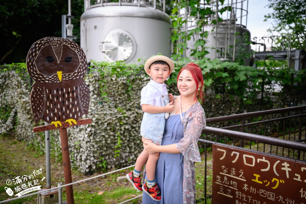 【熊本市動植物園】熊本必玩親子景點.門票&交通攻略.拍海賊王魯夫.看野生動物.玩復古樂園超放電! 【熊本市動植物園】熊本必玩親子景點.門票&交通攻略.拍海賊王魯夫.看野生動物.玩復古樂園超放電!